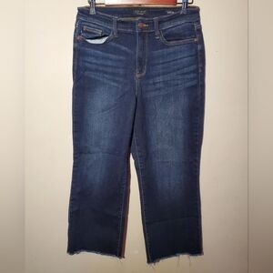 Judy Blue Wide Leg Jeans Size 29